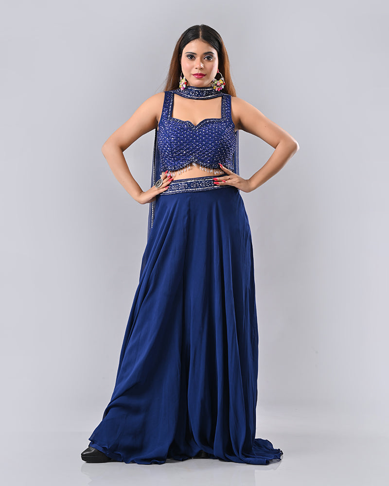 Navy Blue Tassel Embroidered Lehenga