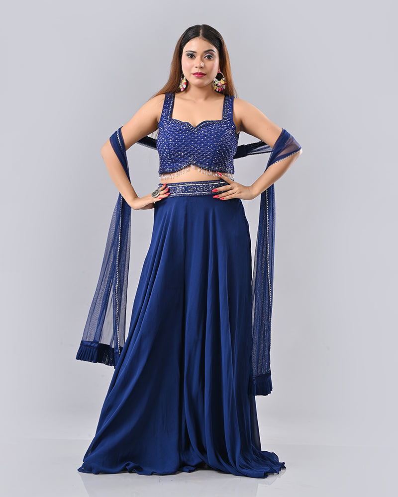 Navy Blue Tassel Embroidered Lehenga