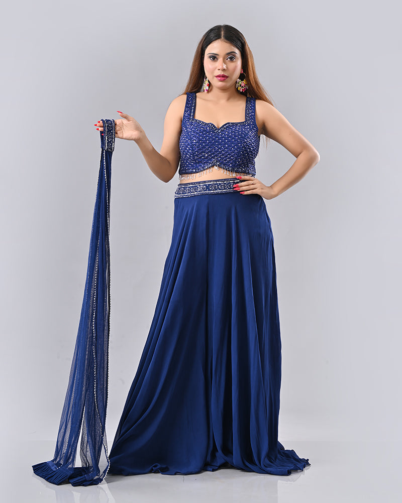 Navy Blue Tassel Embroidered Lehenga