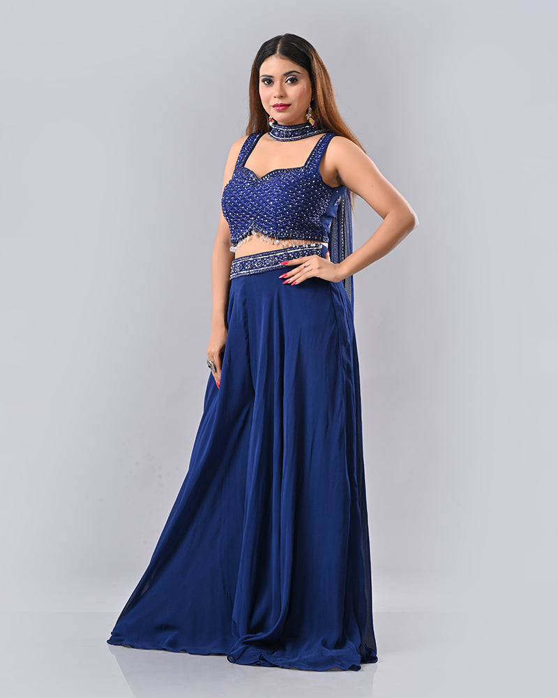 Navy Blue Tassel Embroidered Lehenga