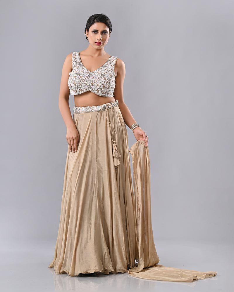 Beige Shell Embroidered Lehenga
