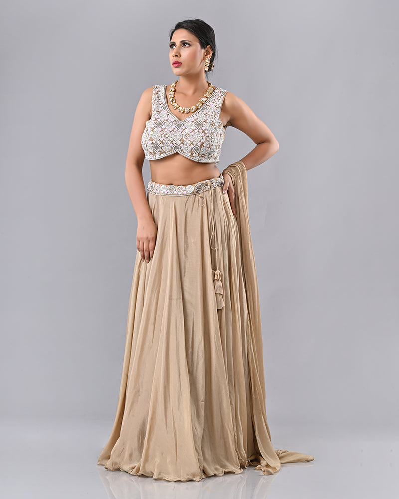 Beige Shell Embroidered Lehenga