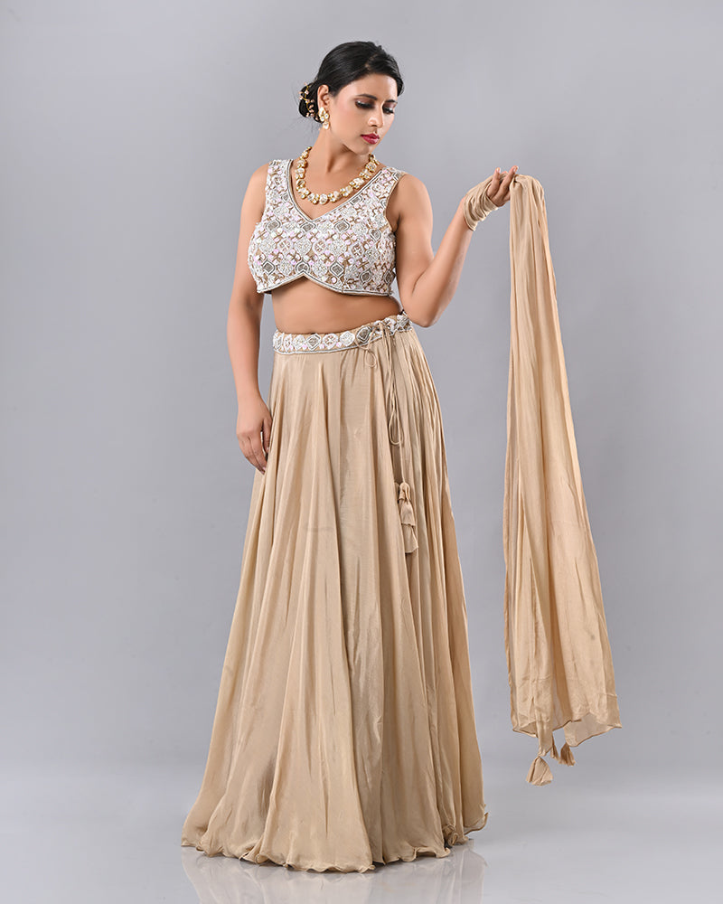 Beige Shell Embroidered Lehenga