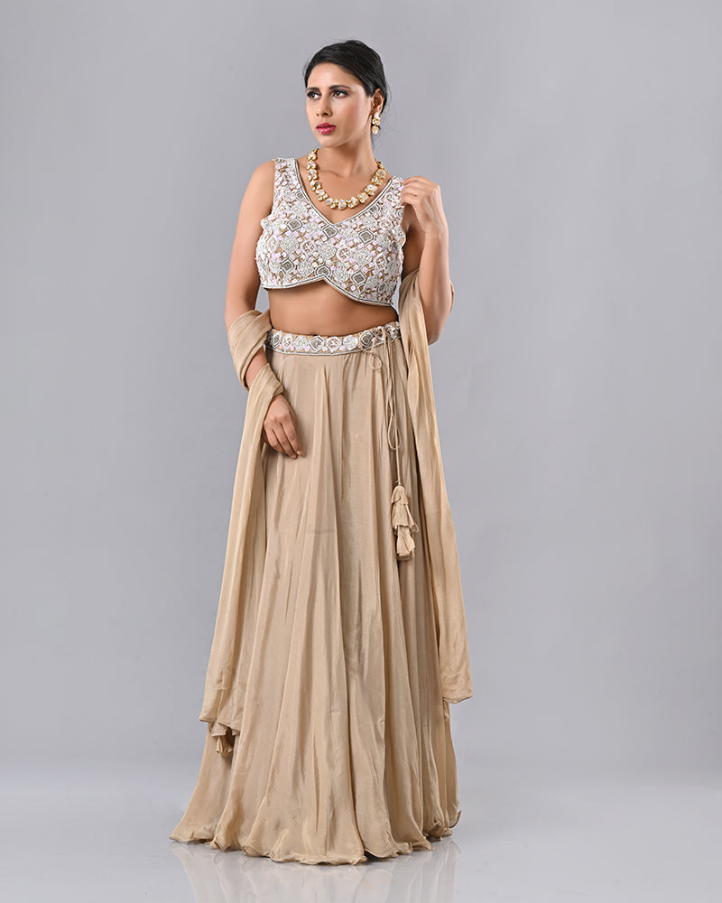 Beige Shell Embroidered Lehenga