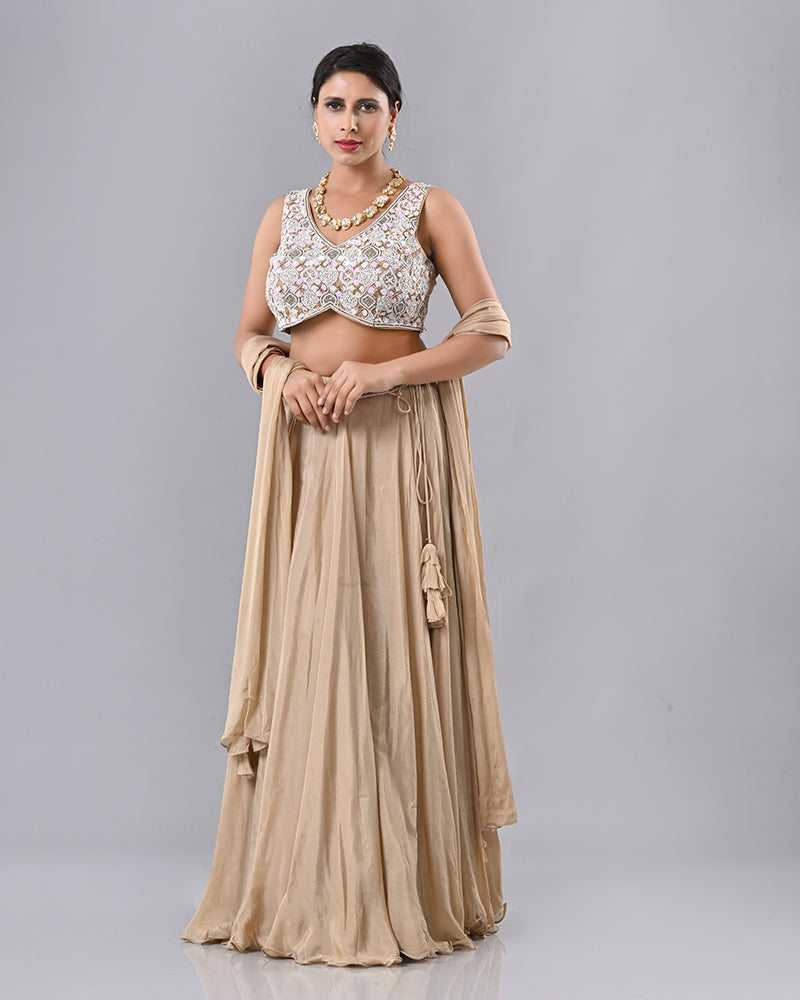 Beige Shell Embroidered Lehenga