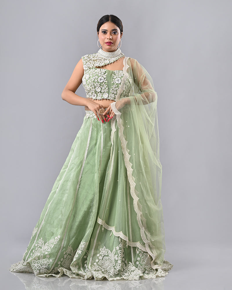 Light Green Embroidered Tassel Lehenga