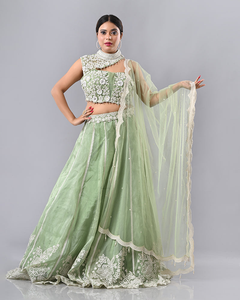 Light Green Embroidered Tassel Lehenga