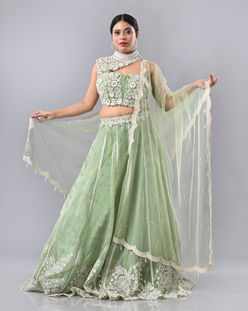 Light Green Embroidered Tassel Lehenga