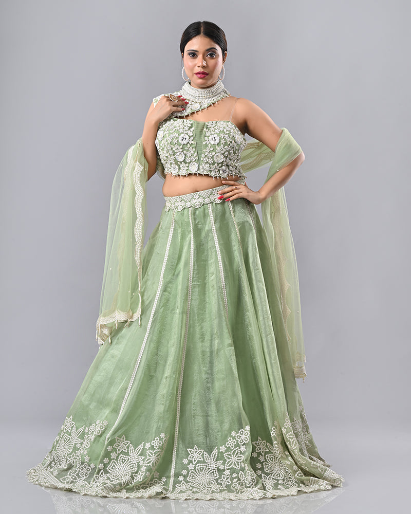 Light Green Embroidered Tassel Lehenga