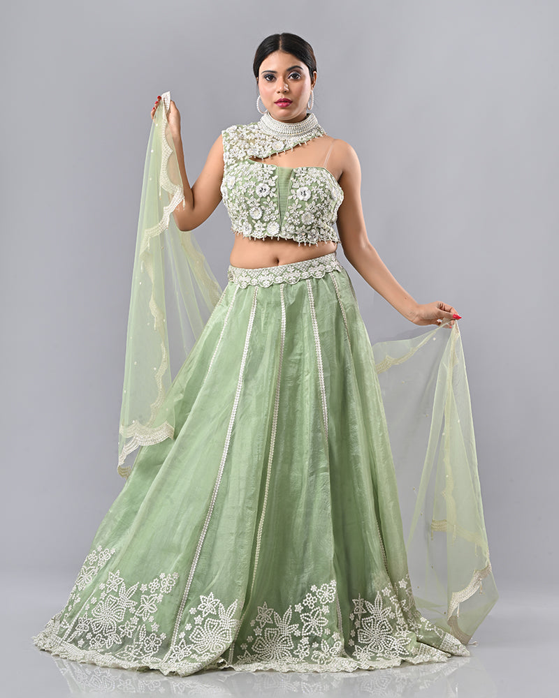 Light Green Embroidered Tassel Lehenga