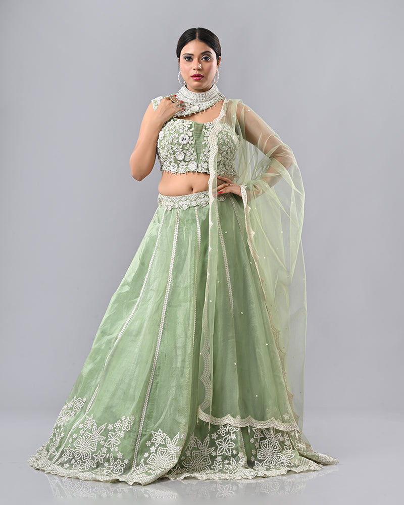 Light Green Embroidered Tassel Lehenga