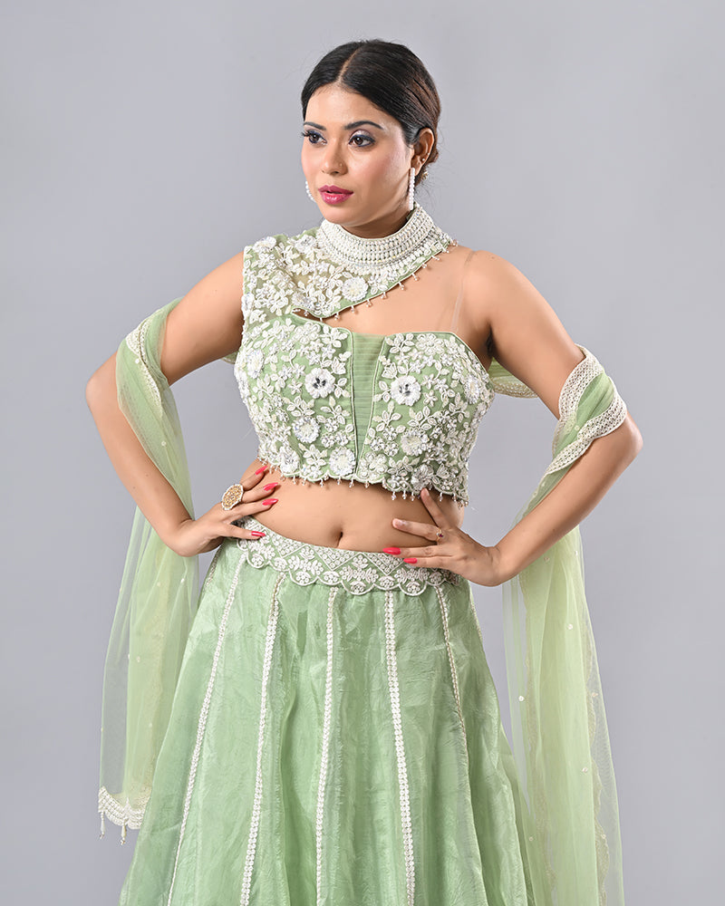 Light Green Embroidered Tassel Lehenga