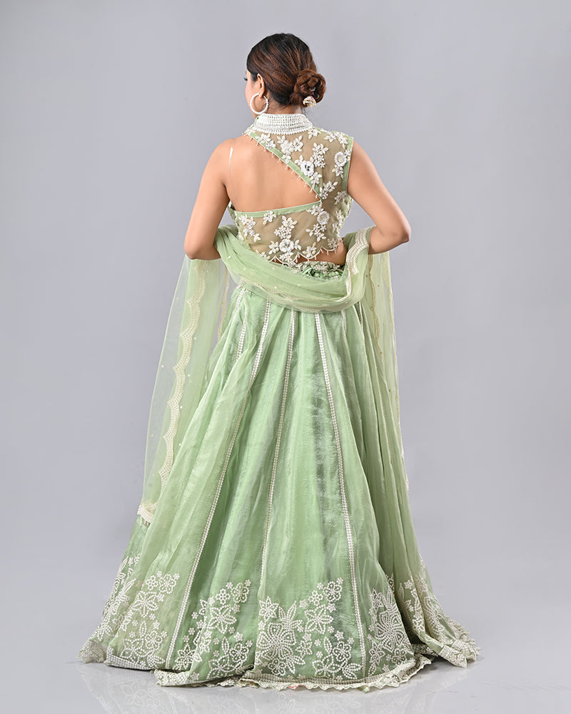 Light Green Embroidered Tassel Lehenga