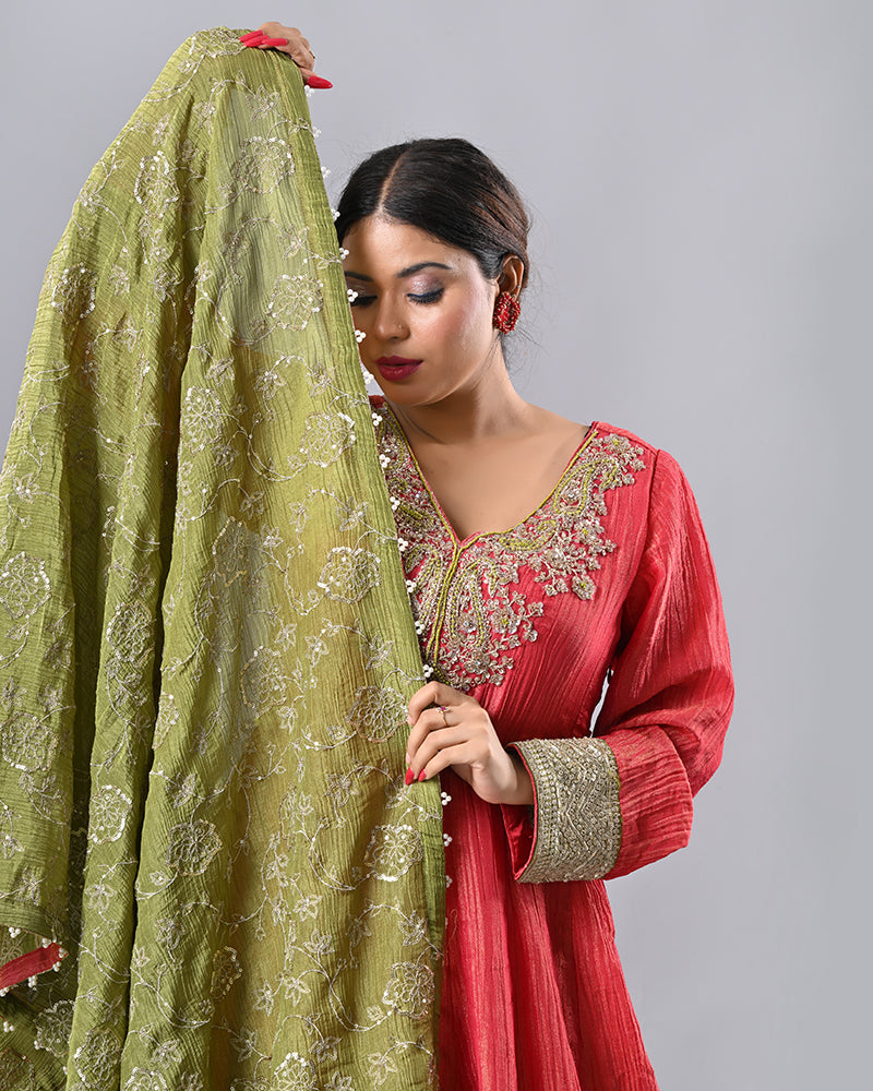 Coral Zardosi Embroidered Anarkali